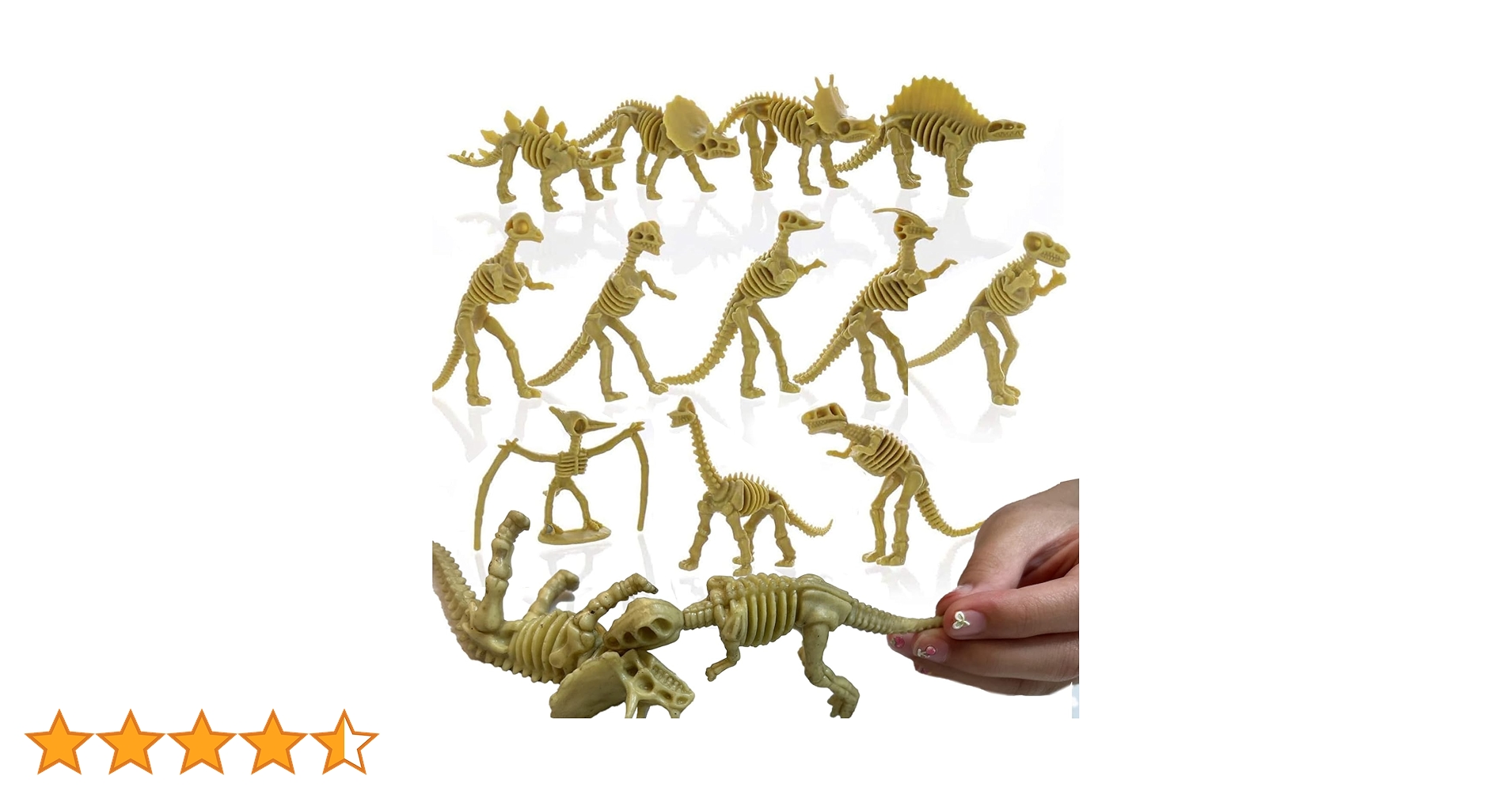 Amazon.co.jp: GiftExpress 恐竜化石スケルトン24個、3.75インチ